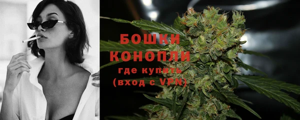 apvp Горняк