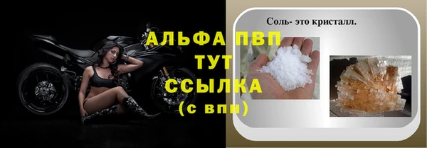 apvp Горняк