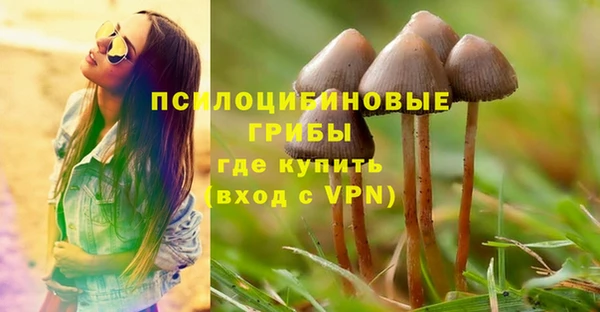 ALPHA-PVP Горнозаводск