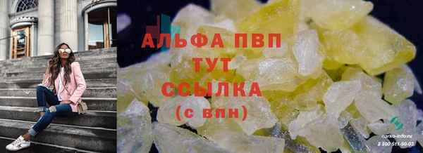 apvp Горняк