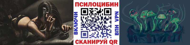 Псилоцибиновые грибы Psilocybe  площадка телеграм  Жердевка 